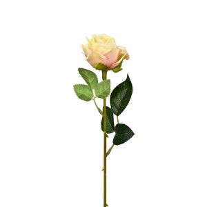 Růže krémová a růžovým nádechem balení 5 ks, 50 cm