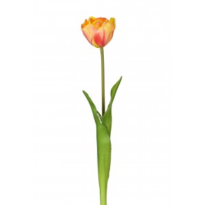 Tulipán růžovo-oranžový 43 cm