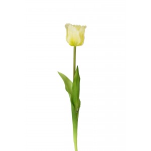 Tulipán bílý 47 cm