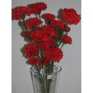 ROJ Dekorace ROJ00122