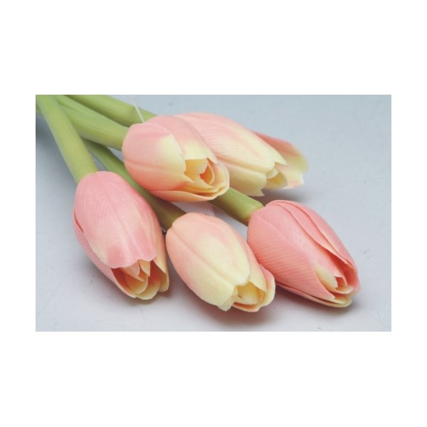 Sada tulipánu