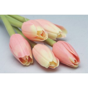 Sada tulipánu
