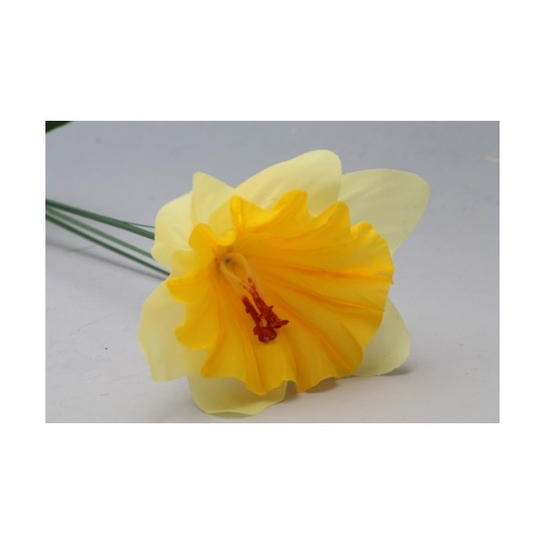 Narcis