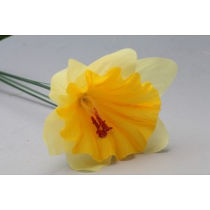Narcis