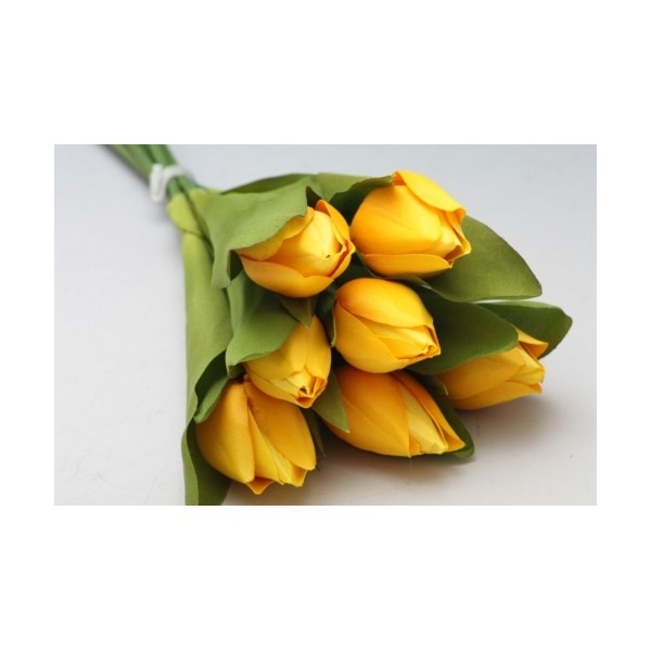 Tulipány
