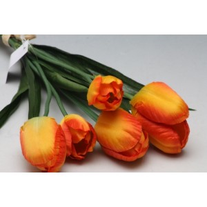 Kytice tulipánů