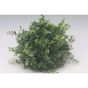Zimostráz - buxusová koule 25 cm