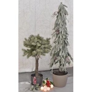 ilustrační foto strom 60 cm a 95 cm v květináči