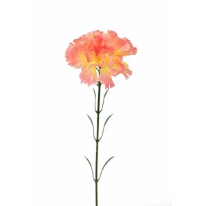 Karafiát 60 cm, lososový