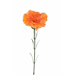 Karafiát 60 cm, oranžový