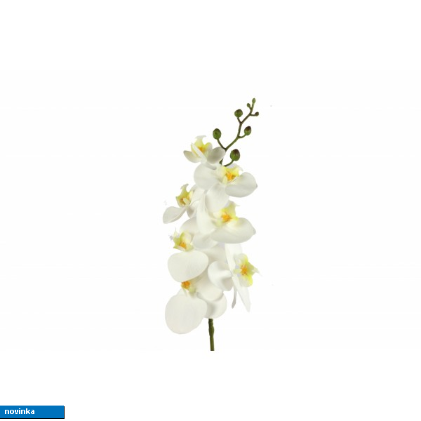 Orchidej Phalaenopsis bílá 83 cm