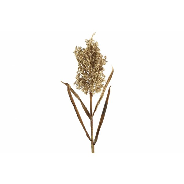 Umělá tráva Panicum miliaceum krém 89 cm