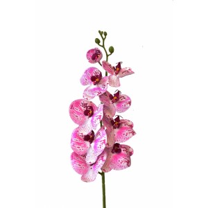 Orchidej Phalaenopsis 97 cm, růžová