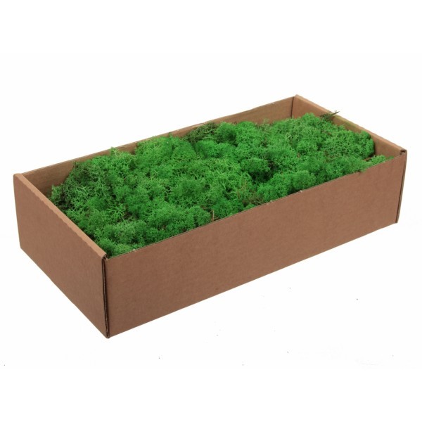 Finský Sobí mech zelený 500g