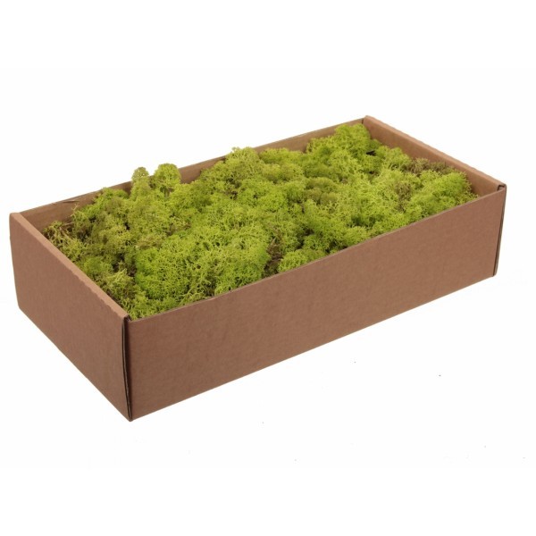 Finský Sobí mech světle zelený 500g