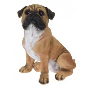 Dekorace pes boxer 27x17x18,5 cm