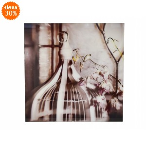 Skleněný obraz Orchidej 50x50 cm II. jakost 