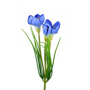 Krokus modrý balení 3 ks, 30 cm
