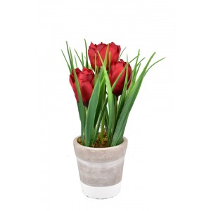 Tulipán v květináči 22 cm bordó