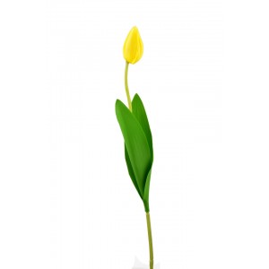 Tulipán žlutý balení 6 ks, 46 cm poupě