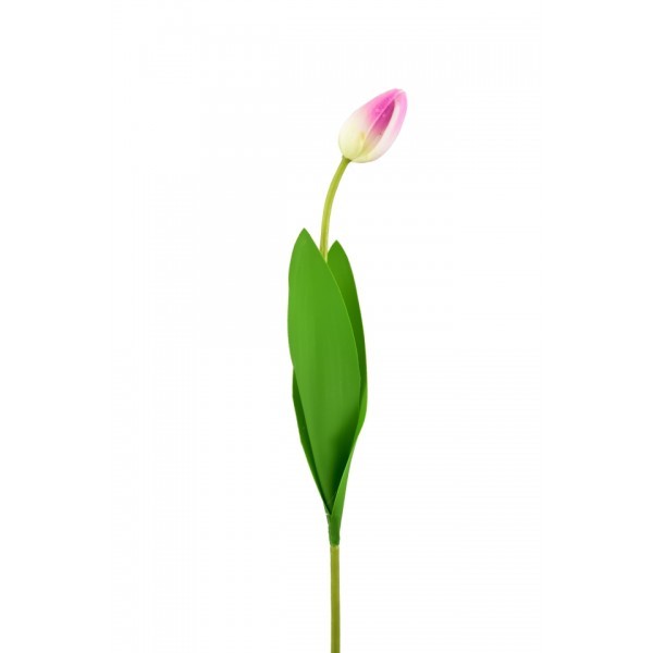 Tulipán světle fialový balení 7 ks, 46 cm poupě