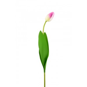 Tulipán světle fialový 46 cm poupě