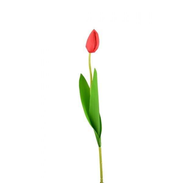 Tulipán červený balení 6 ks, 46 cm poupě