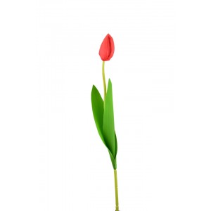Tulipán červený 46 cm poupě