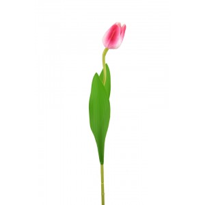 Tulipán tmavě růžový 47 cm