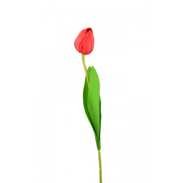 Tulipán bordó 47 cm