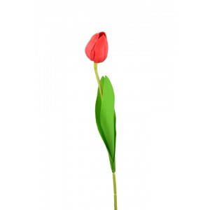 Tulipán bordó 47 cm