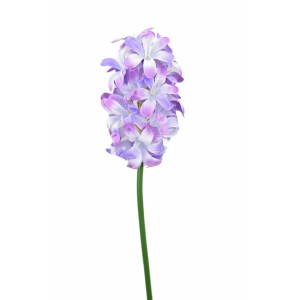 Hyacint modrý 48 cm