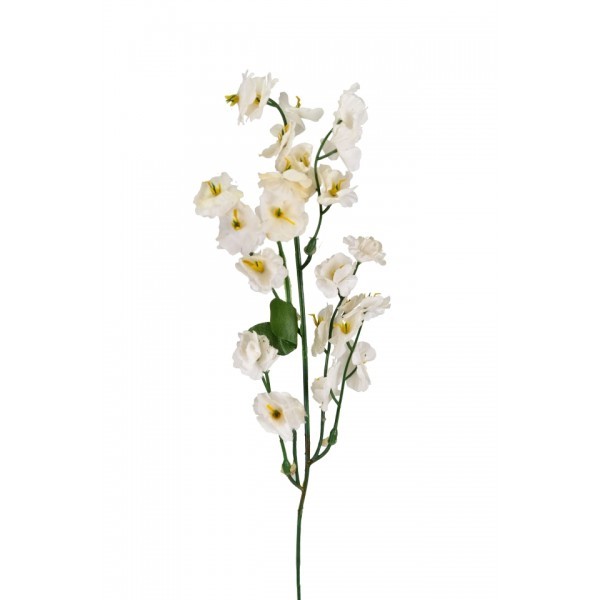 Kopretina krémová 40 cm