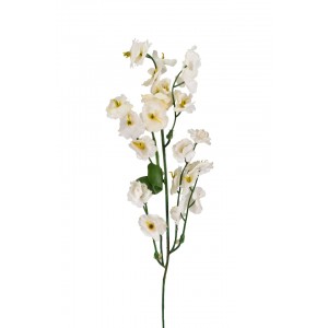 Kopretina krémová 40 cm