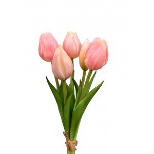 Kytice 5 tulipánů růžová 21,5 cm