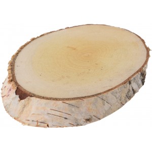 Dřevěná podložka z břízy 25-30x12-17x2 cm
