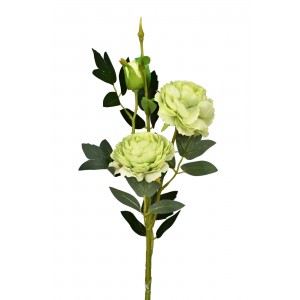 Růže zelená 66 cm