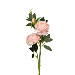Růže růžová 66 cm