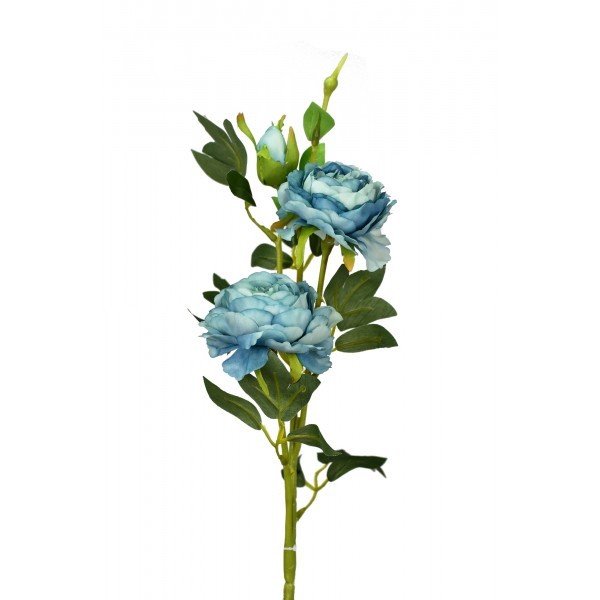 Růže borůvková 66 cm