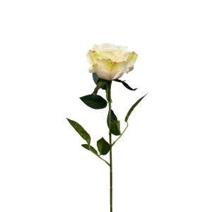 Růže velkokvětá krémová 66 cm