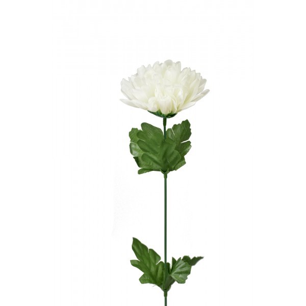 Chryzantéma bílo - zelená 48 cm, balení 24 ks