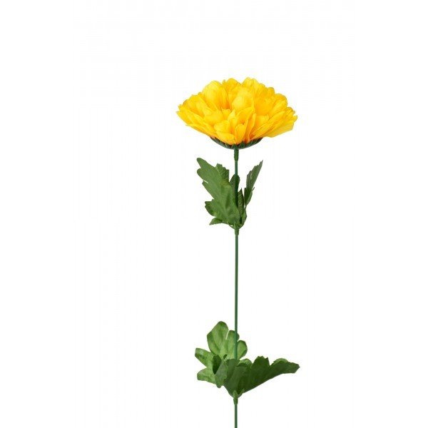 Chryzantéma žlutá 48 cm, balení 24 ks