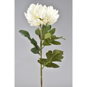 Chryzantéma bílá 72 cm