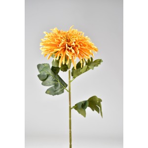Chryzantéma hvězdicovitá oranžová 71 cm