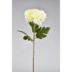 Chryzantéma bílá 75 cm