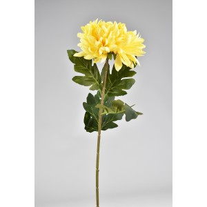 Chryzantéma žlutá 75 cm