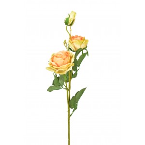 Růže oranžovo-zelená 70 cm