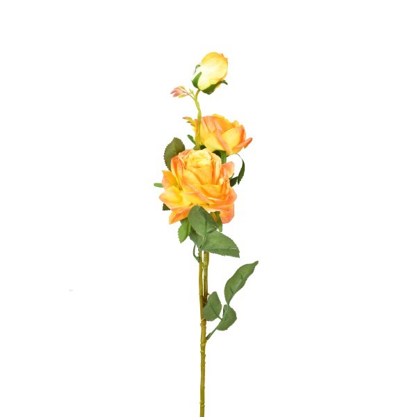 Růže oranžová 70 cm