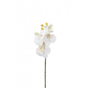 Umělá orchidej bílá 68 cm