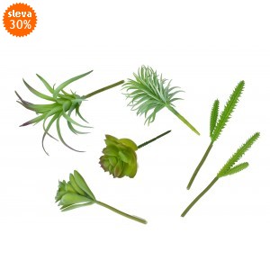 Mix sukulentů Ester, sada 8 ks